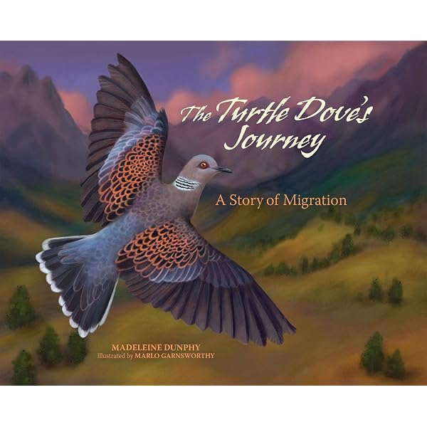 The Voyage of the Arctic Tern: Hugh Montgomery: 9780744594836